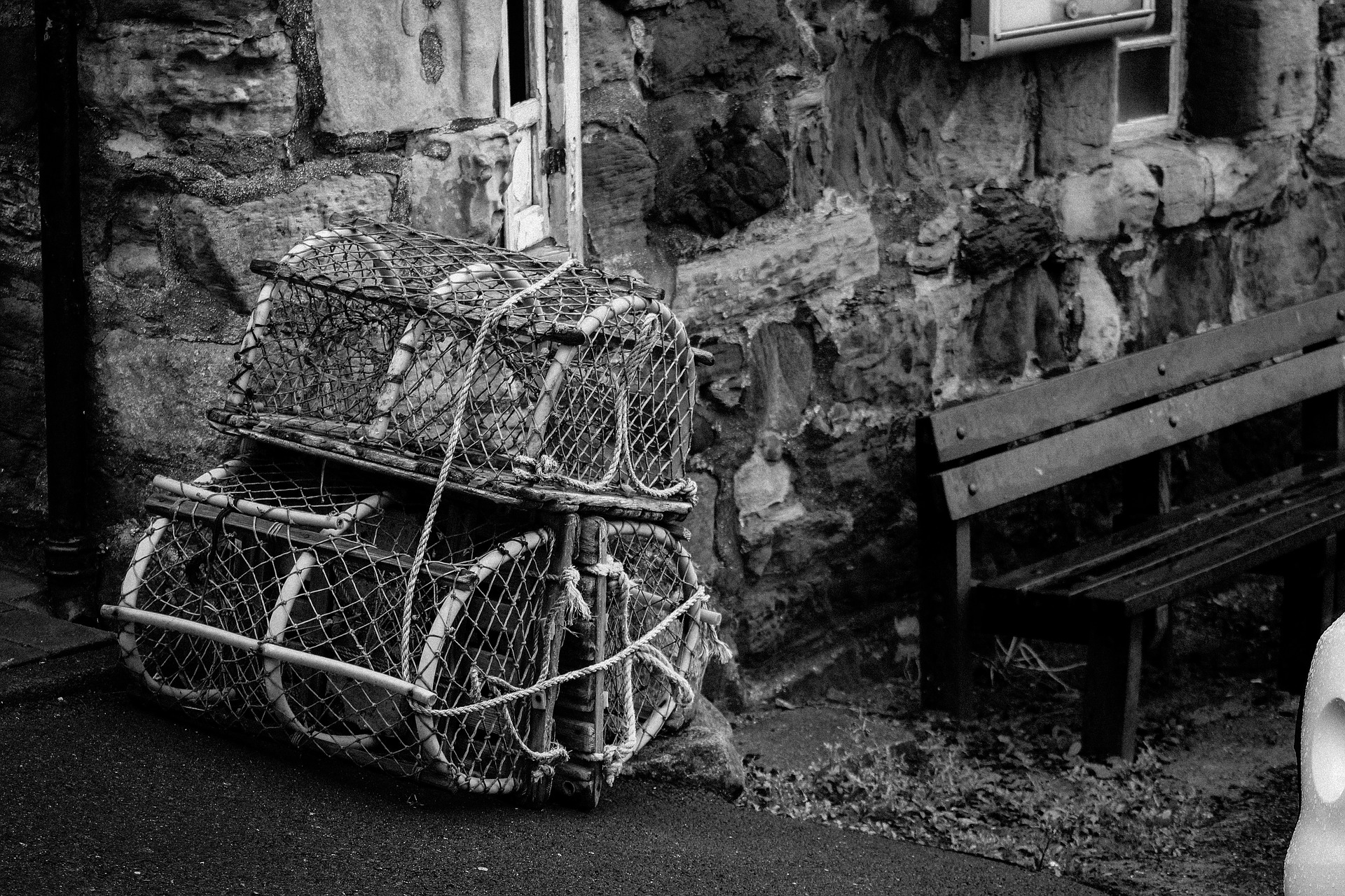 Provocation and Disloyalty