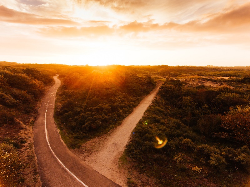 The bifurcation strategy